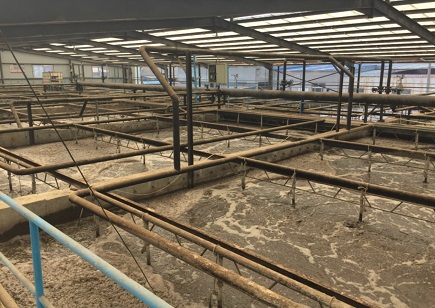 山東某皮革企業污水處理廠